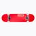 Globe Goodstock classic skateboard červený 10525351