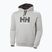 Pánska mikina Helly Hansen HH Logo Hoodie grey/melange