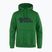 Pánska mikina Fjällräven Logo Hoodie palm green