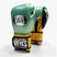 Boxerské rukavice Cleto Reyes Velcro Sparring metalic green/gold wbc