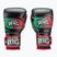 Boxerské rukavice Cleto Reyes Velcro Sparring black/red/white green red