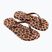 Dámske žabky Ipanema Animal Print beige/bronze/bronze