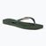 Dámske žabky Havaianas Square Logo Metallic green olive