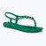 Dámske sandále Ipanema Class Blown green/bronze