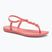 Dámske sandále Ipanema Class Conecta pink/blue