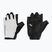 Pánske cyklistické rukavice Northwave Active Max Short Finger light grey