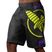 Hayabusa Icon Fight MMA šortky čierno-žlté ICFS-BK-L