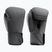 Boxerské rukavice Hayabusa T360 Boxing charcoal