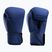 Boxerské rukavice Hayabusa T360 Boxing blue