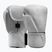 Boxerské rukavice Hayabusa T360 Leather white