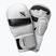 Hayabusa T3 Hybrid biele/čierne grapplingové rukavice