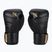 Boxerské rukavice Hayabusa T3 čierne/zlaté