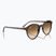 Slnečné okuliare Ray-Ban Bernard havana/brown gradient