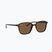 Slnečné okuliare Ray-Ban Leonard tortoise/brown polarized