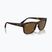 Slnečné okuliare Ray-Ban RB4428 havana matte/brown polarized
