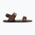 Pánske barefoot sandále Xero Shoes D-Trail cocoa brown/java brown