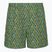 Pánske trekingové nohavice Royal Robbins All-In algae flash pt
