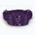 Dámska ľadvinka Osprey Tempest 6 l violac purple