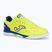 Pánske kopačky Joma Top Flex Rebound IN yellow/royal