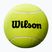 Wilson Roland Garros Jumbo 9" žltá tenisová loptička s autogramom