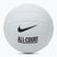Volejbalová lopta Nike All Court Volleyball white/white/white/black veľ.  5