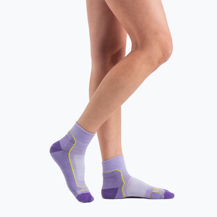 Dámske trekingové ponožky Icebreaker Hike+ Light Mini purple gaze/magic/hyper 3