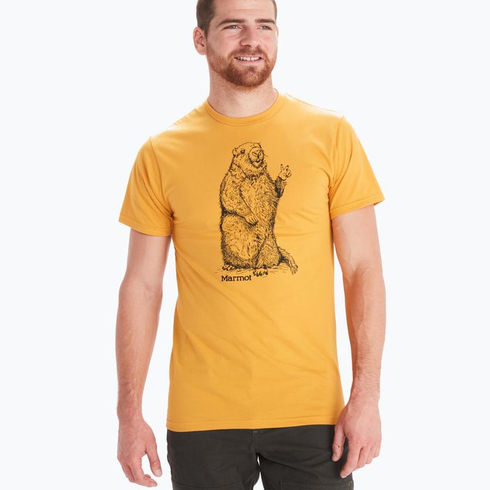 Marmot Peace pánske trekingové tričko žlté M13270 3