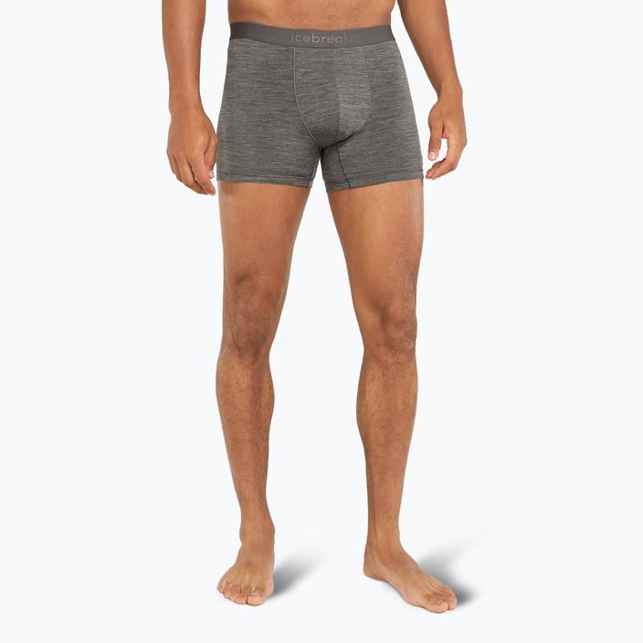 Pánske termo boxerky Icebreaker Merino 125 Cool-Lite Anatomica gritstone heather 2