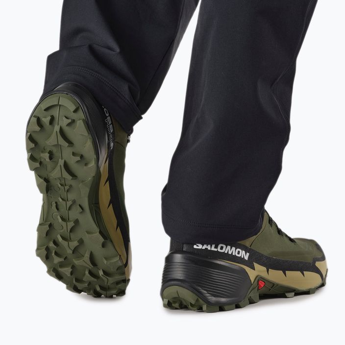 Pánske trekingové topánky Salomon Cross Hike GTX 2 zelené L41738 4