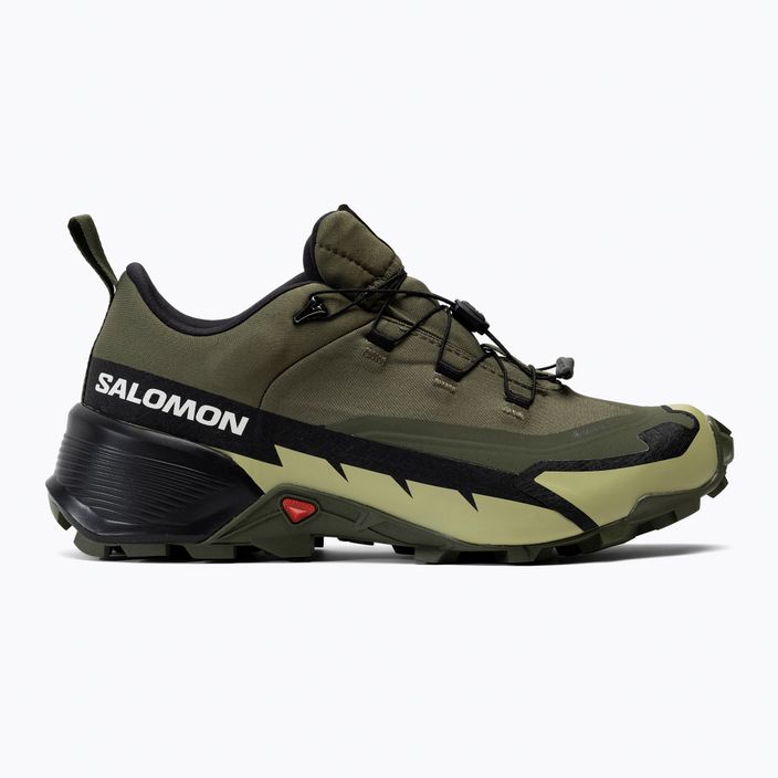 Pánske trekingové topánky Salomon Cross Hike GTX 2 zelené L41738 2