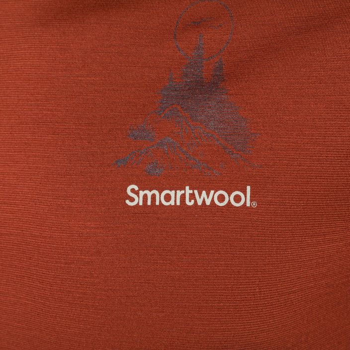 Pánske tričko Smartwool Wilderness Summit Graphic Tee brown trekking 16673 6