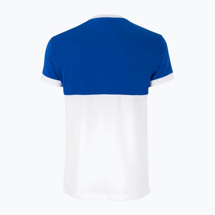 Pánske tenisové tričko Tecnifibre F1 Stretch modro-biele 22F1ST 2