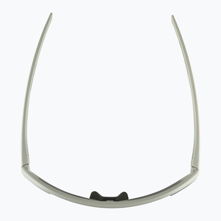 Slnečné okuliare Alpina Bonfire Q-Lite cool grey matt/silver mirror 5