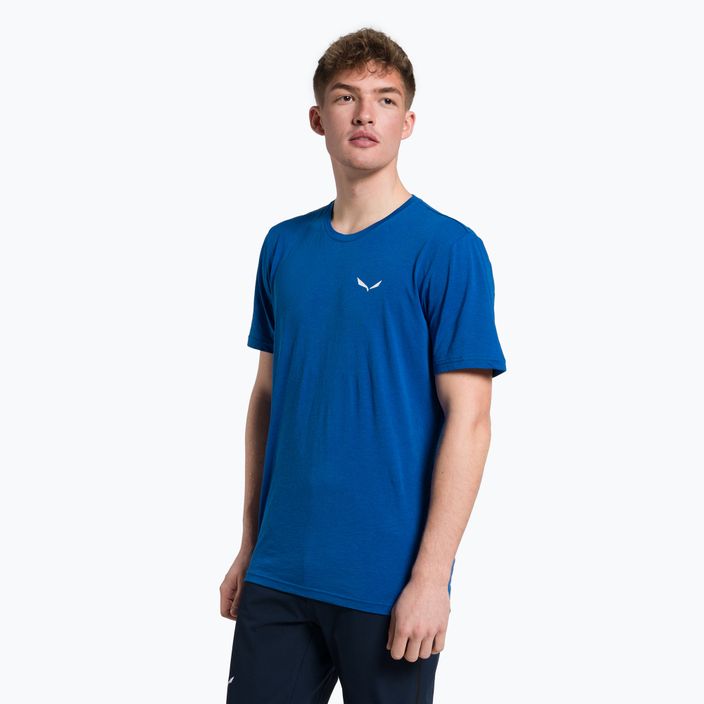 Pánske trekingové tričko Salewa Alpine Hemp Logo blue 00-0000028132