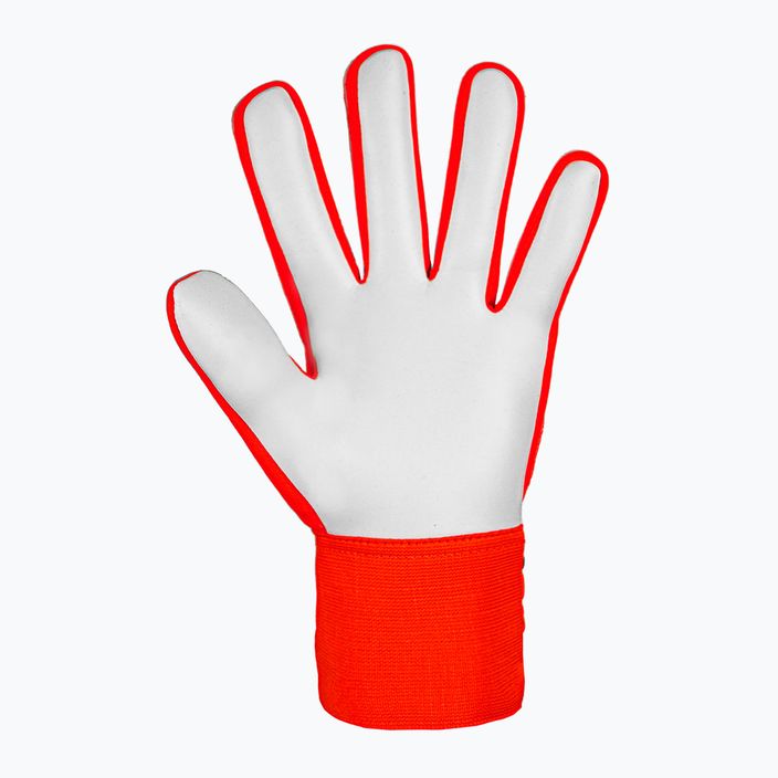 Brankárske rukavice Reusch Attrakt Starter Solid bright red/future blue 3