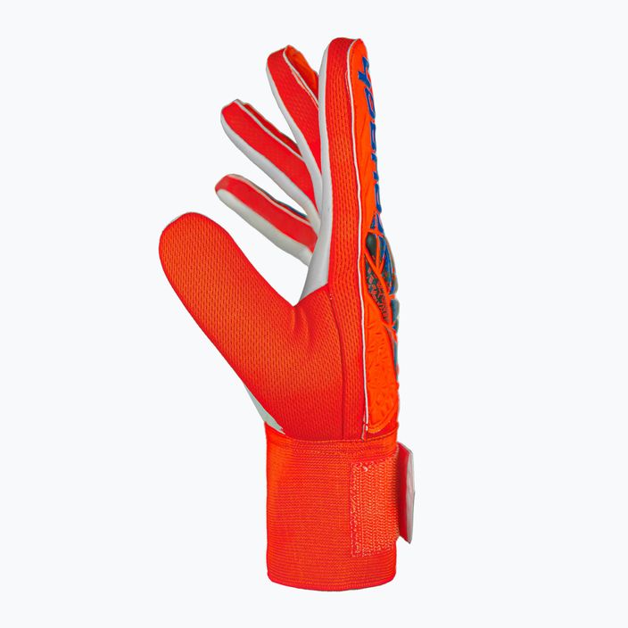Brankárske rukavice Reusch Attrakt Starter Solid bright red/future blue 4