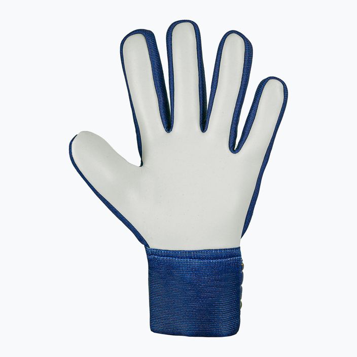 Detské brankárske rukavice Reusch Attrakt Starter Solid Junior premium blue/sfty yellow 3