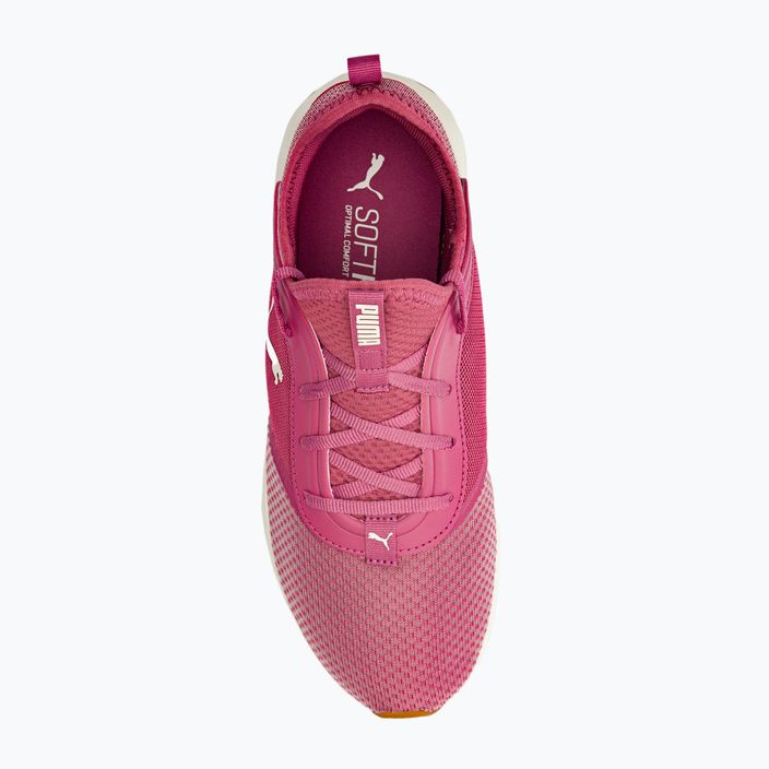 Dámska bežecká obuv PUMA Softride Ruby pink 377050 04 6