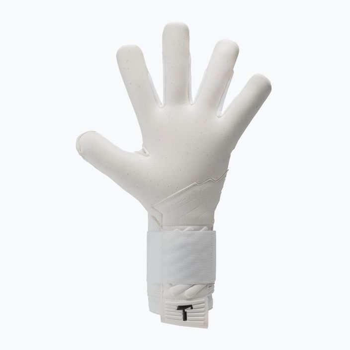 T1TAN Ice Beast 2.0 brankárske rukavice bielo-modré 201905 5