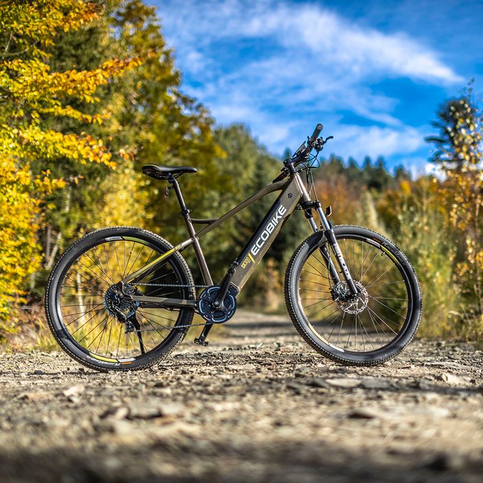 Ecobike SX300/X300 LG elektrický bicykel 12.8Ah zelený 1010404 18