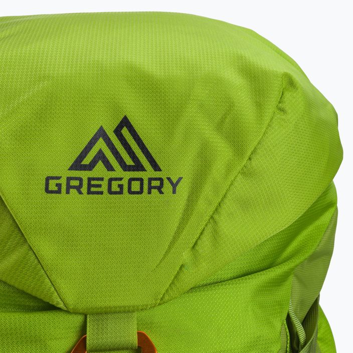Gregory Alpinisto 35 l lezecký batoh zelený 2J*441 5