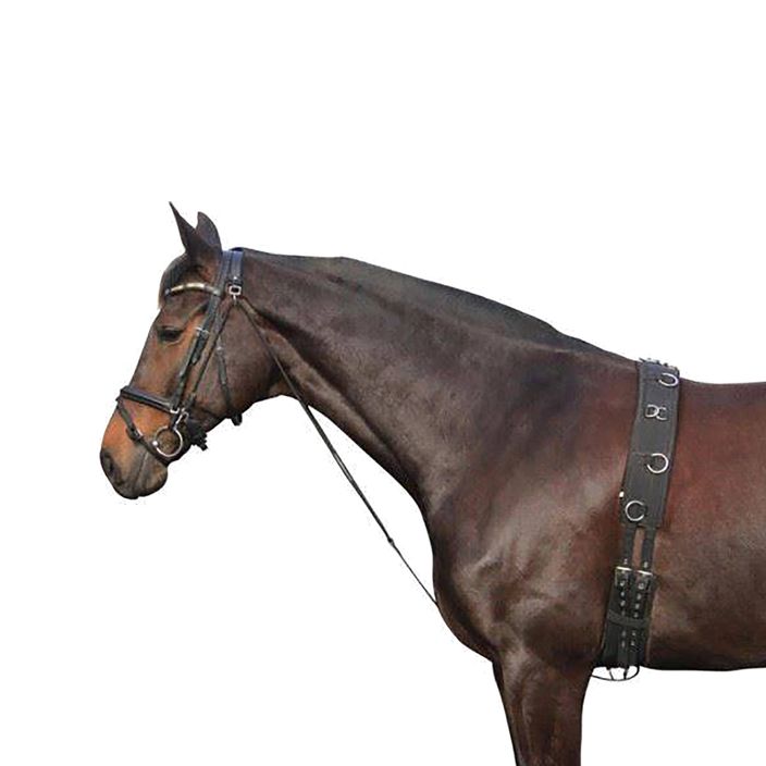 York koňská koža chambone čierna 180202 2