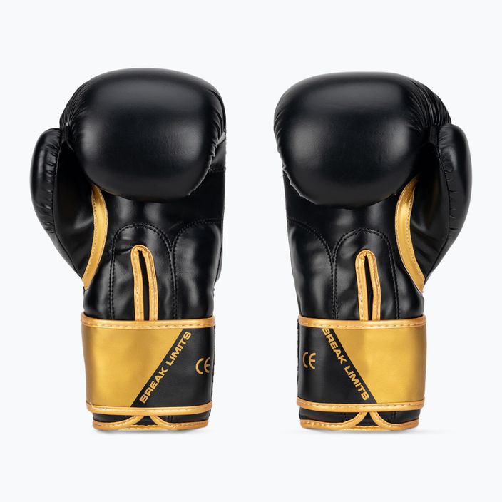 Boxerské rukavice DBX BUSHIDO B-2v10 čierno-zlaté 2
