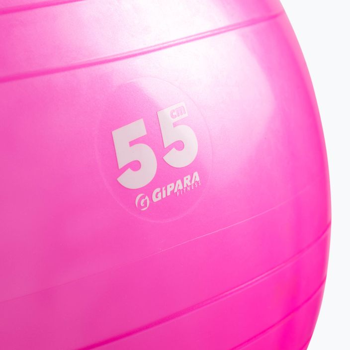 Gipara fitness lopta 55 cm ružová 3998 2