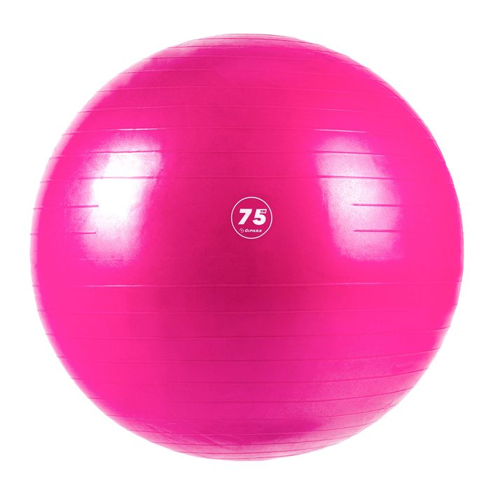 Gipara fitness lopta ružová 3008 2