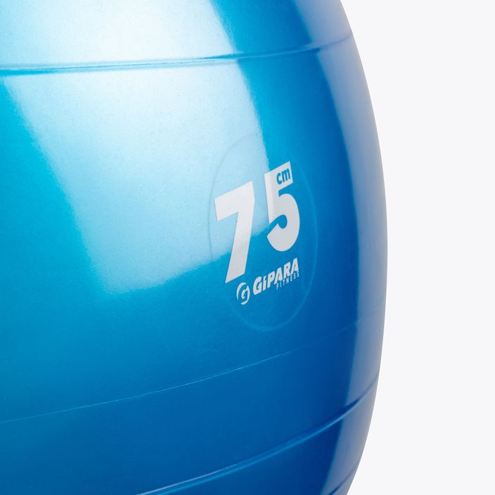 Gymnastická lopta Gipara modrá 4900 2