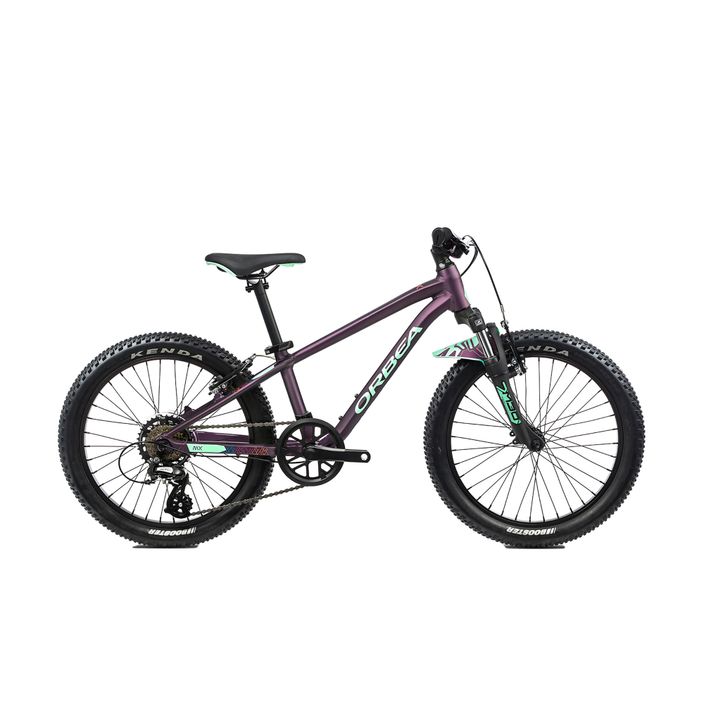 Detský bicykel Orbea MX 20 XC fialový L00420I7 2