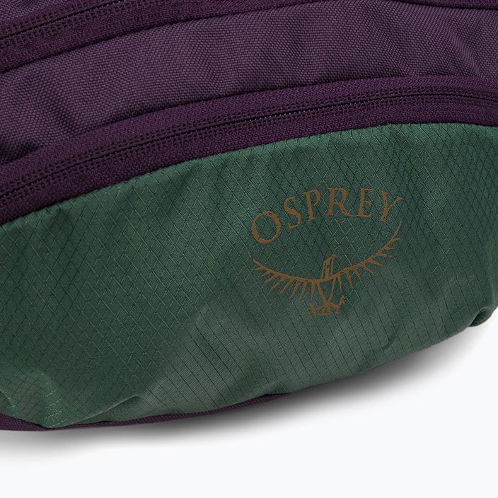 Ľadvinka Osprey Daylite Waist axo green/enchantment purple 6