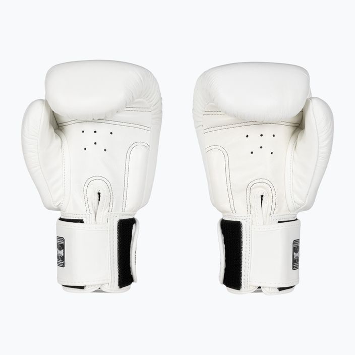 Boxerské rukavice Twinas Special BGVL3 white 2