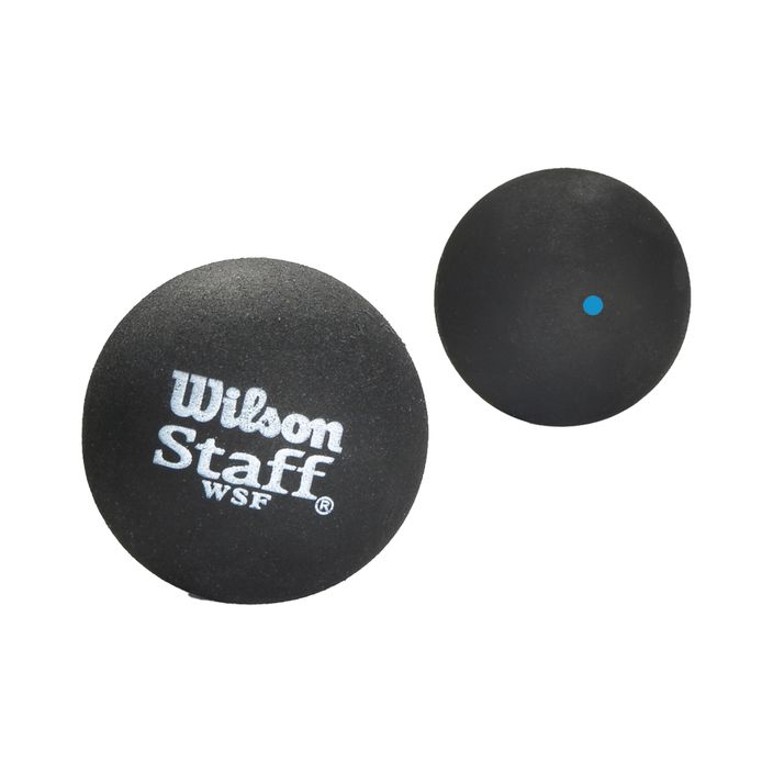 Loptička Wilson Staff Squash Ball Bl Dot 2 ks čierna WRT617500+. 2